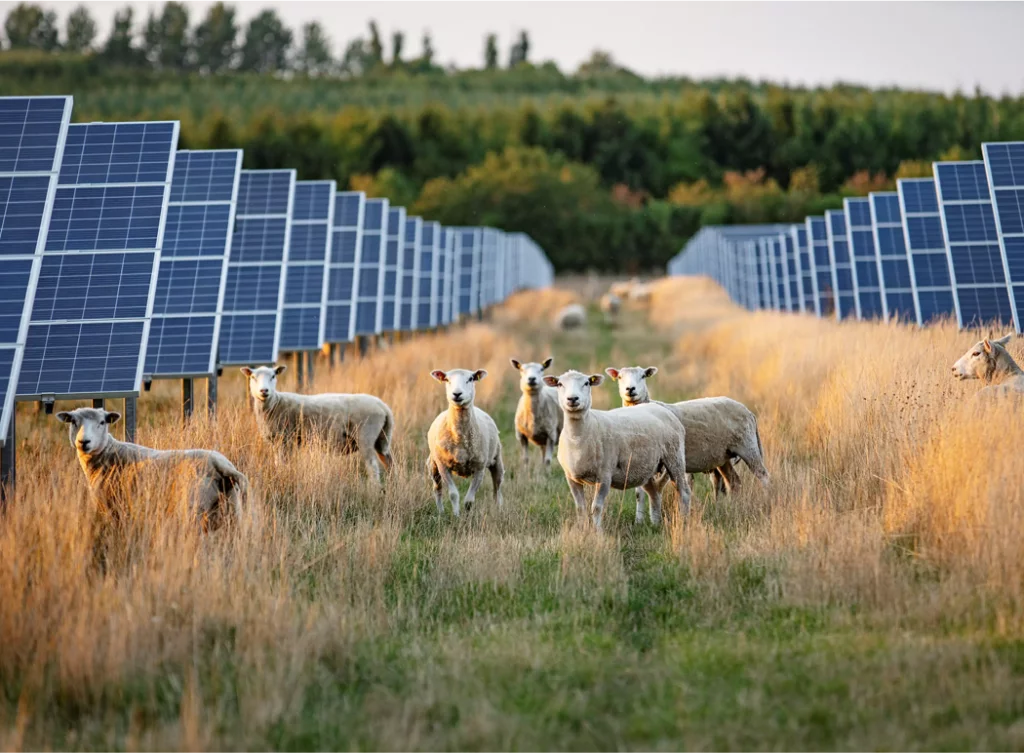 uses more renewable energy